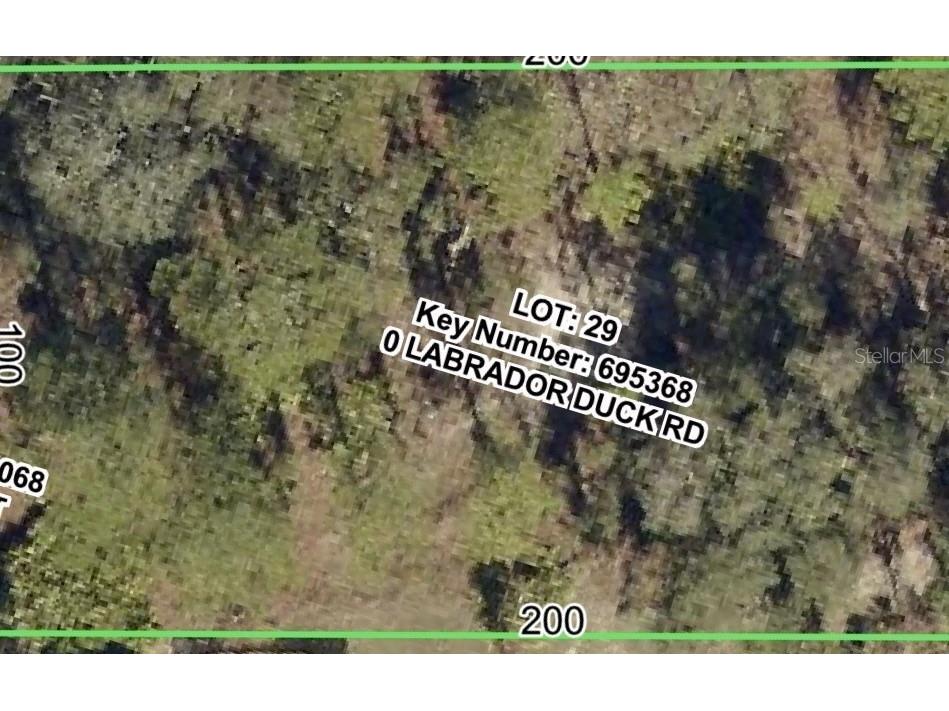 11335 Labrador Duck Road Weeki Wachee FL 34614 TB8524133 image2