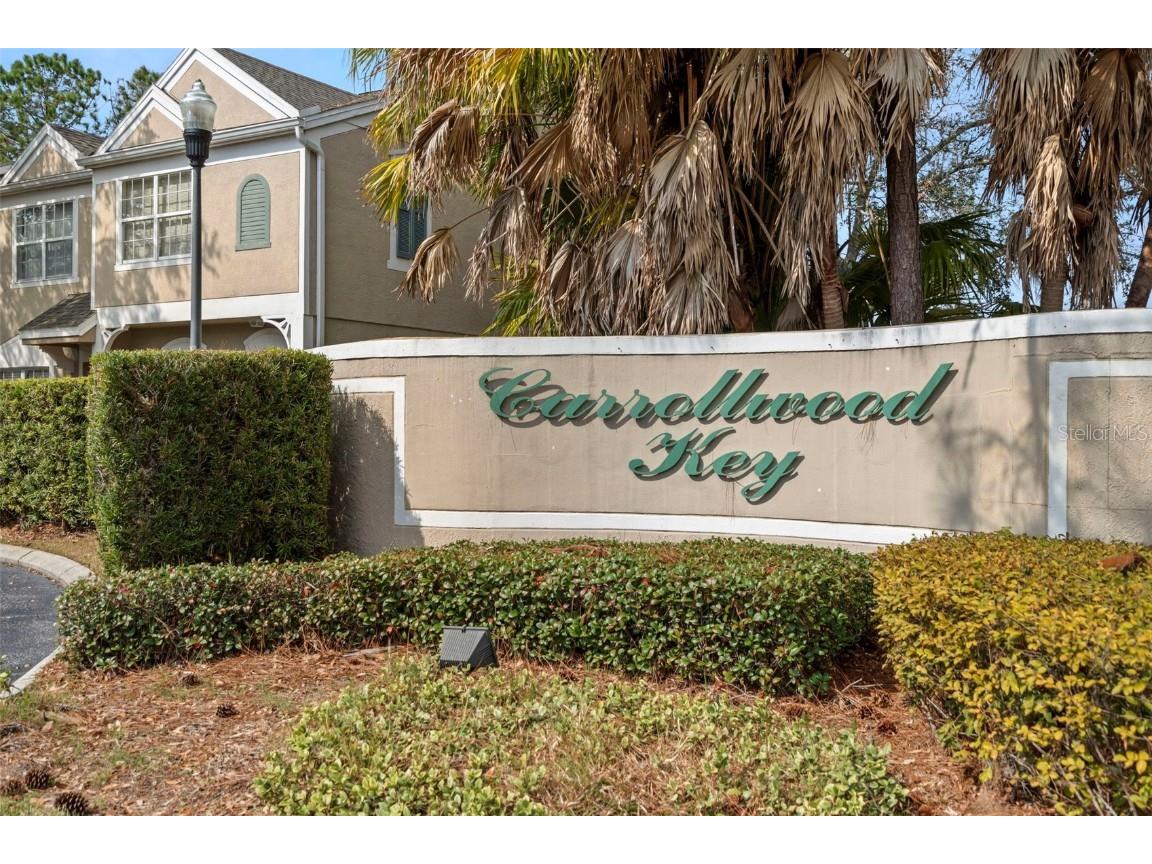 11336 Cayman Key Avenue Tampa FL 33624 TB8345869 image1