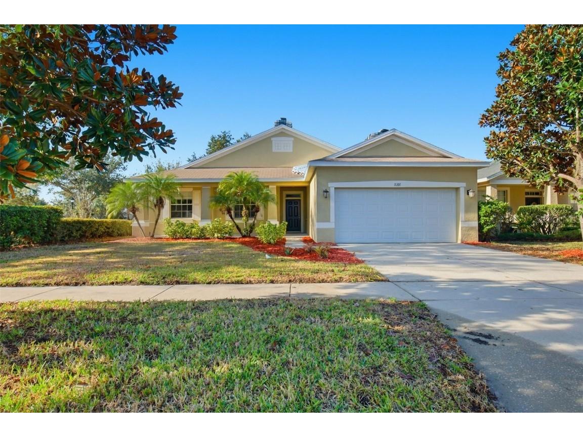 11337 Bridge Pine Drive Riverview FL 33569 O6367184 image1