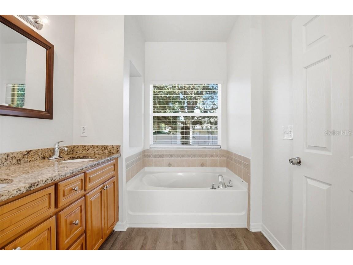 11337 Bridge Pine Drive Riverview FL 33569 O6367184 image29