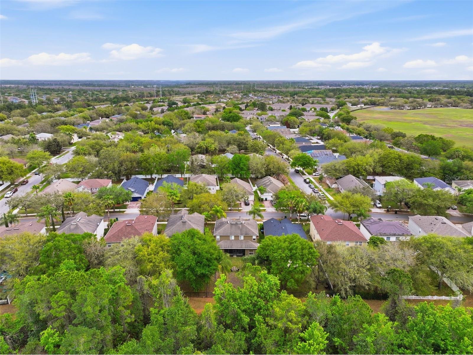 11337 Great Commission Way Orlando FL 32832 O6392196 image23