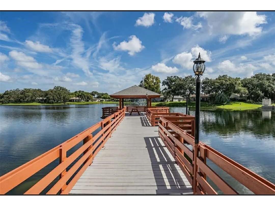 11337 Versailles Lane Port Richey FL 34668 TB8471843 image25