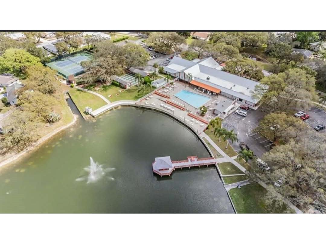 11337 Versailles Lane Port Richey FL 34668 TB8471843 image26