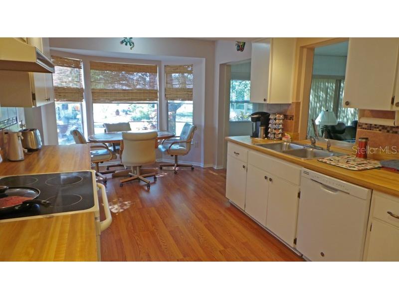 11337 Versailles Lane Port Richey FL 34668 W7887228 image52