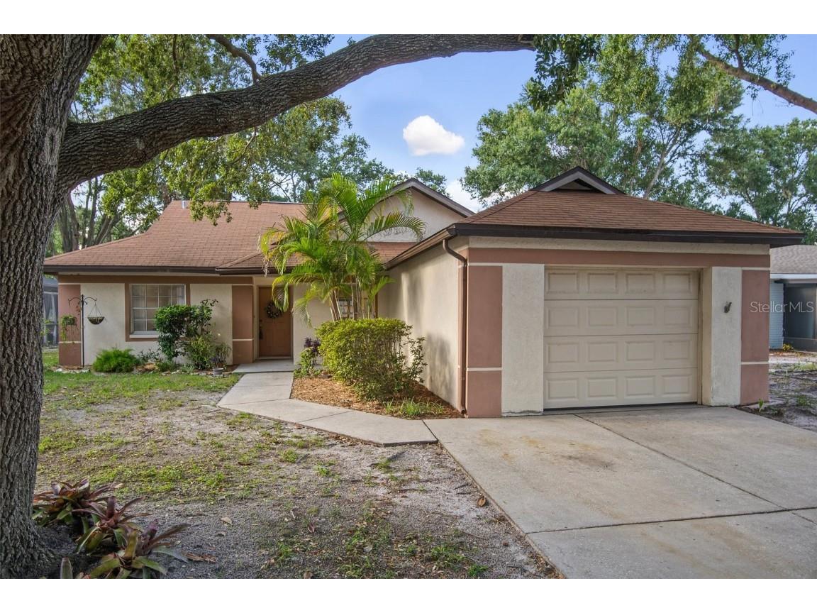11338 Blackbark Dr Riverview FL 33579 T3450848 image1