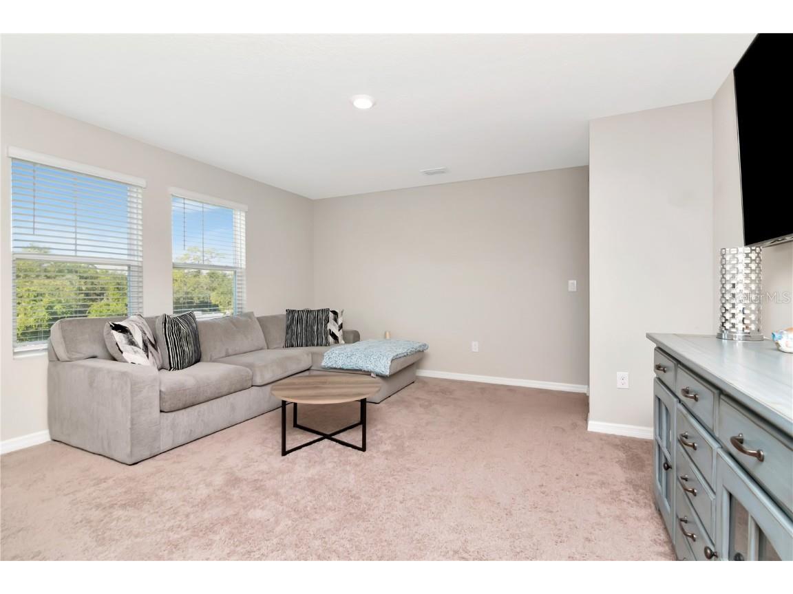 11338 Brook Edge Avenue Riverview FL 33569 TB8440857 image23