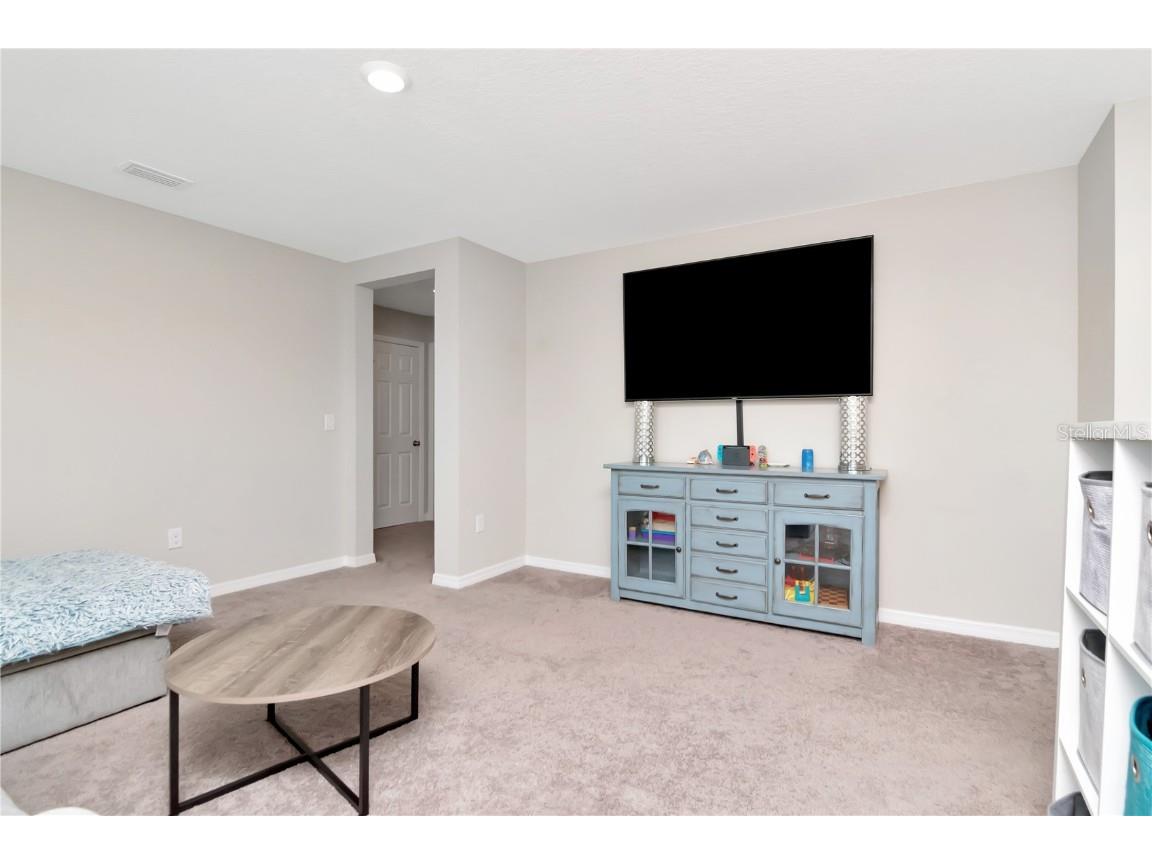 11338 Brook Edge Avenue Riverview FL 33569 TB8440857 image24