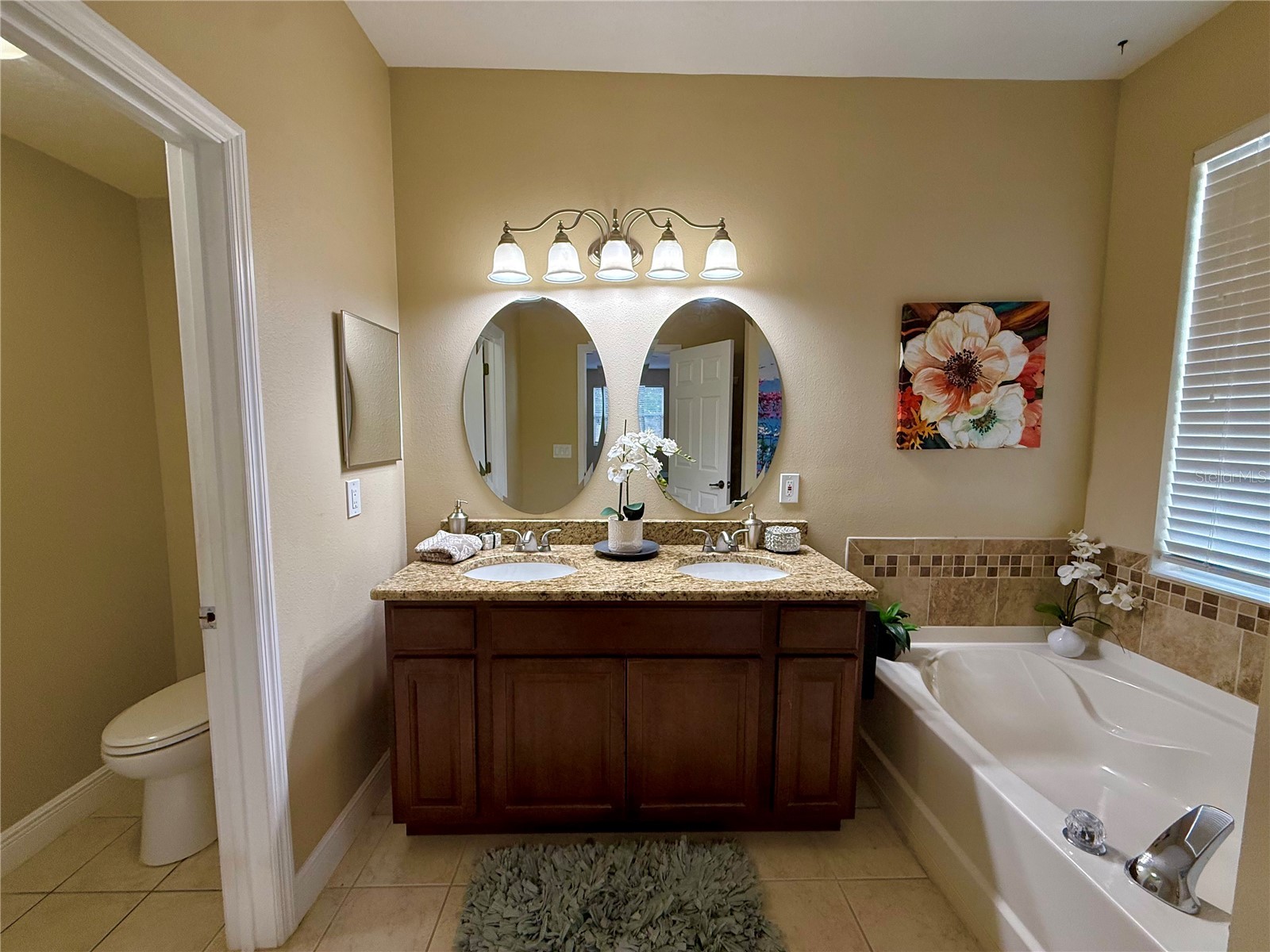 11338 Laurel Brook Court Riverview FL 33569 TB8483611 image19