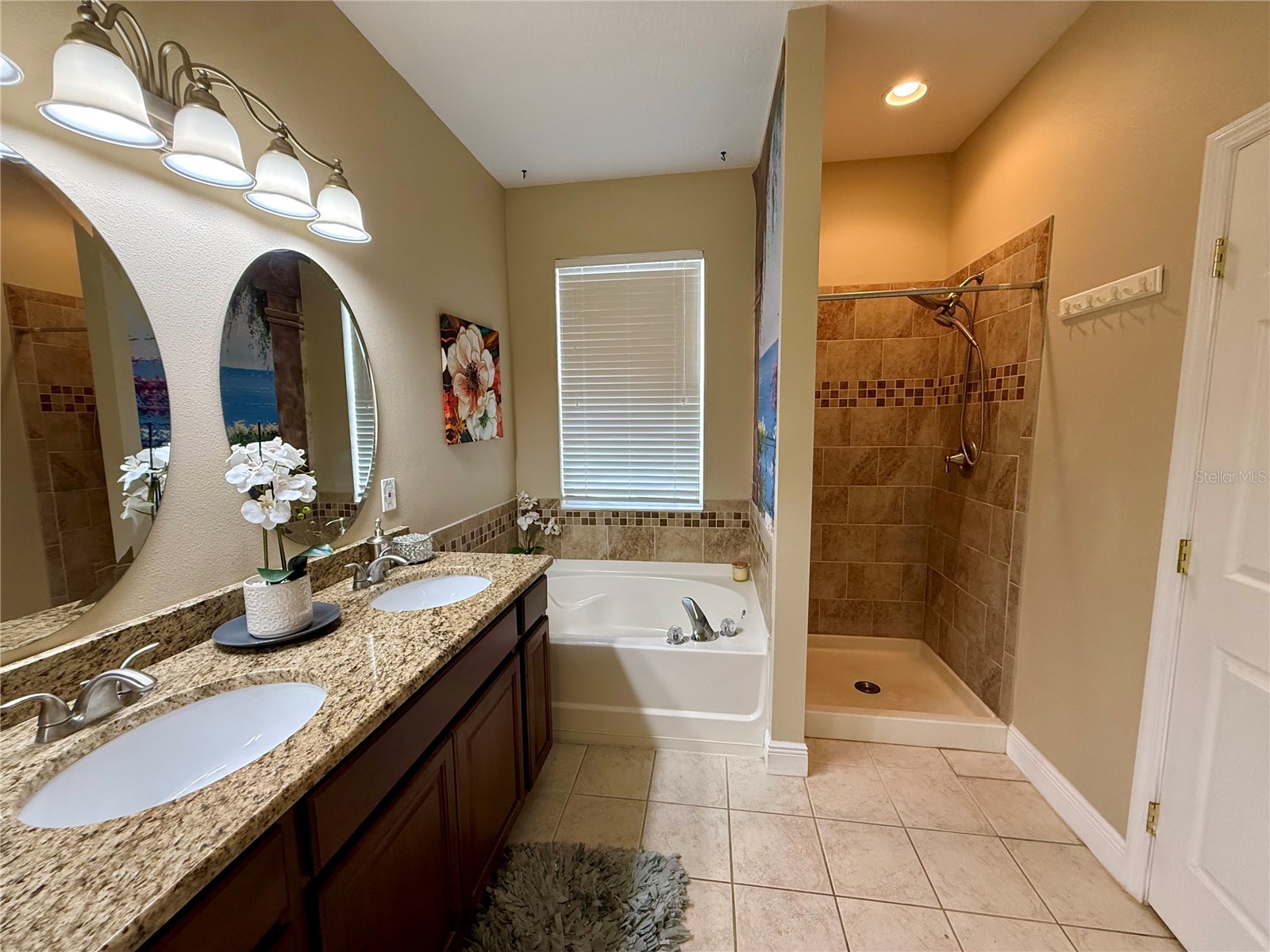 11338 Laurel Brook Court Riverview FL 33569 TB8483611 image20