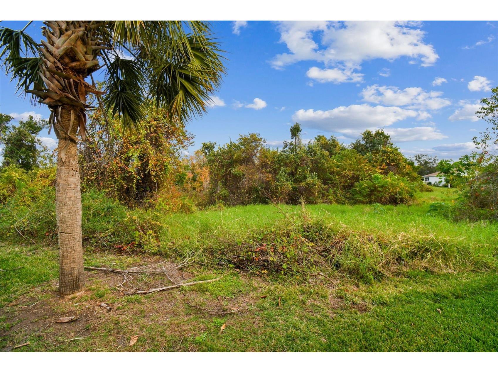 11338 Laurel Brook Court Riverview FL 33569 TB8483611 image41