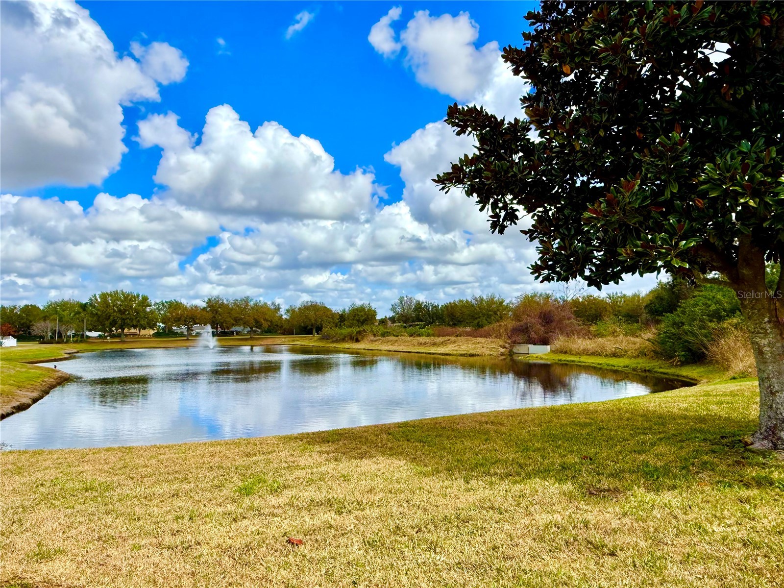 11338 Laurel Brook Court Riverview FL 33569 TB8483611 image42
