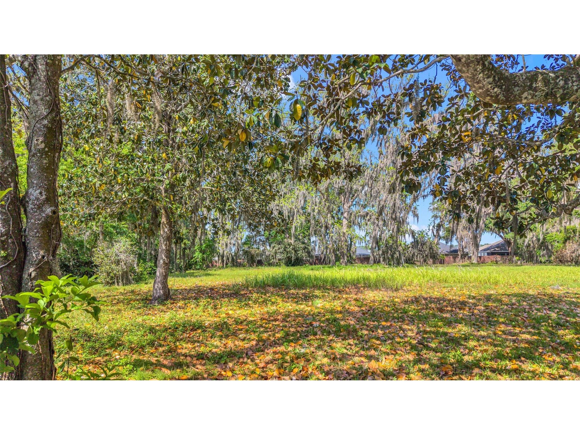 11338 N Us Highway 301 Oxford FL 34484 G5110416 image16