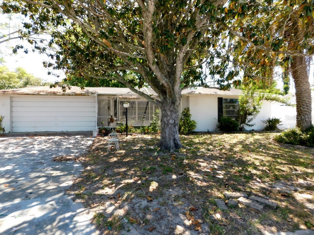 11338 Yellowwood Lane Port Richey FL 34668 O6201564 image1