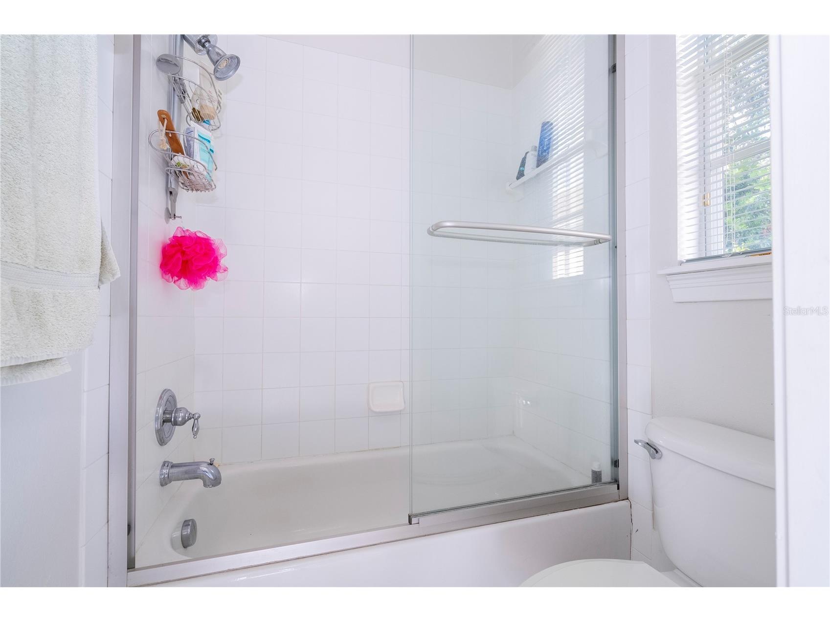 11339 Camden Park Drive Windermere FL 34786 O6388110 image84