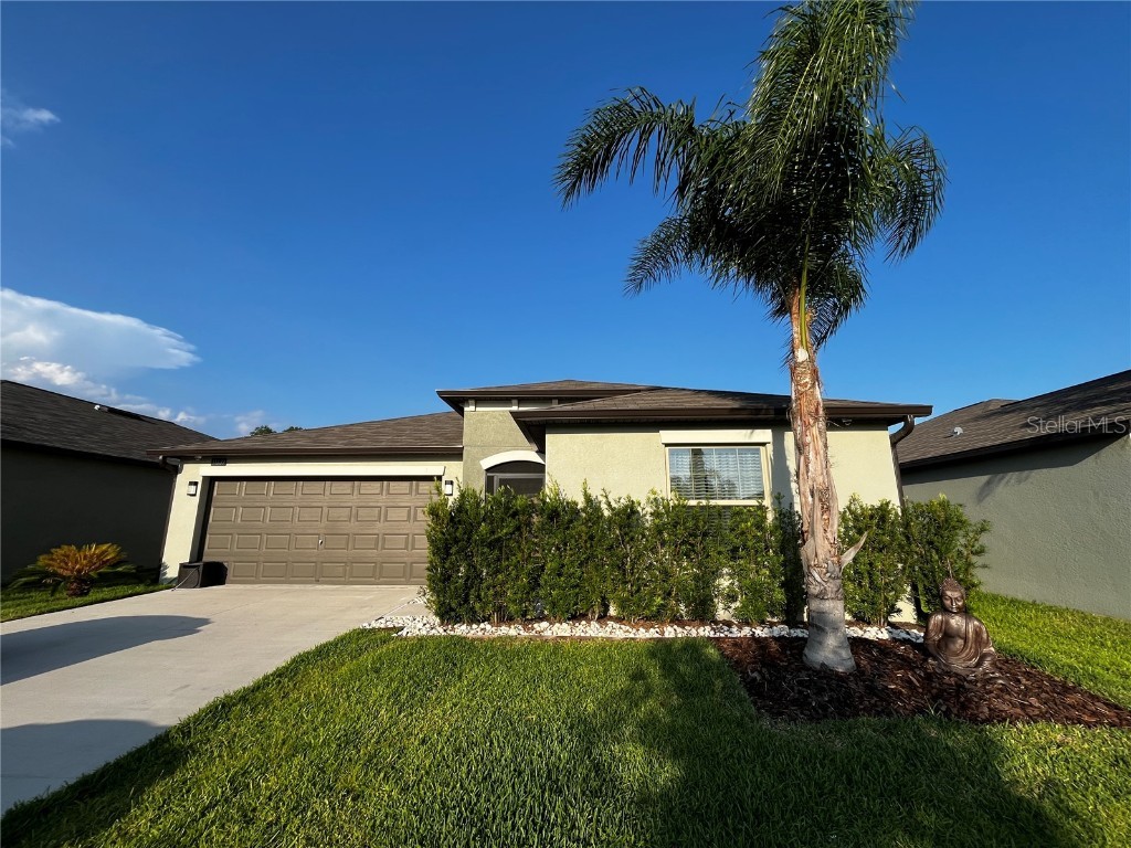 11339 Misty Moss Drive Wimauma FL 33598 T3532496 image1