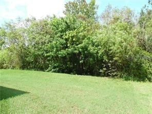 11339 Village Brook Drive Riverview FL 33579 TB8529786 image12
