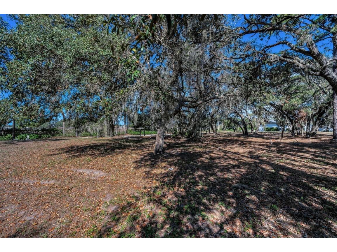 1134 Bellamare Trail Trinity FL 34655 W7872911 image1