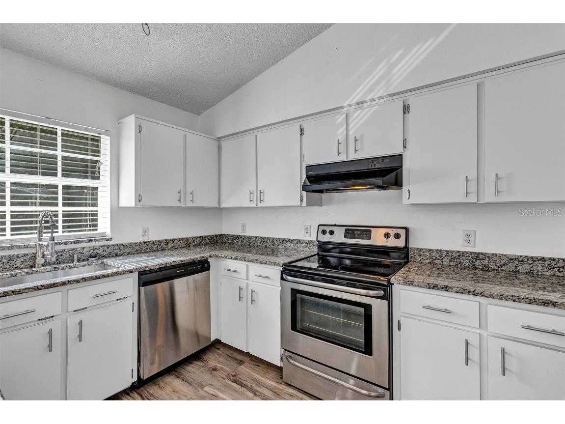 1134 E 10th Avenue Mount Dora FL 32757 V4946052 image14