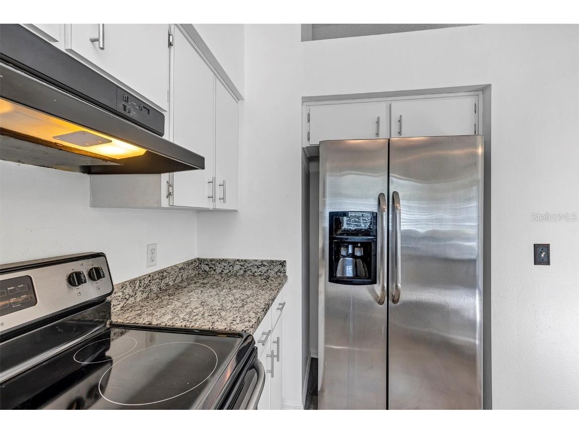 1134 E 10th Avenue Mount Dora FL 32757 V4946052 image15