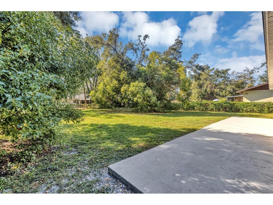 1134 E 10th Avenue Mount Dora FL 32757 V4946052 image31