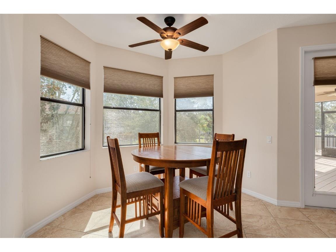 1134 S Pointe Alexis Drive Tarpon Springs FL 34689 T3546653 image16