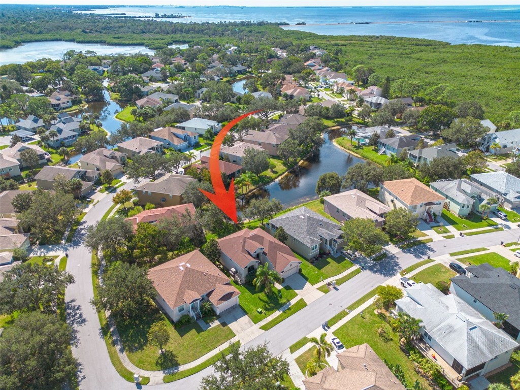 1134 S Pointe Alexis Drive Tarpon Springs FL 34689 T3546653 image2