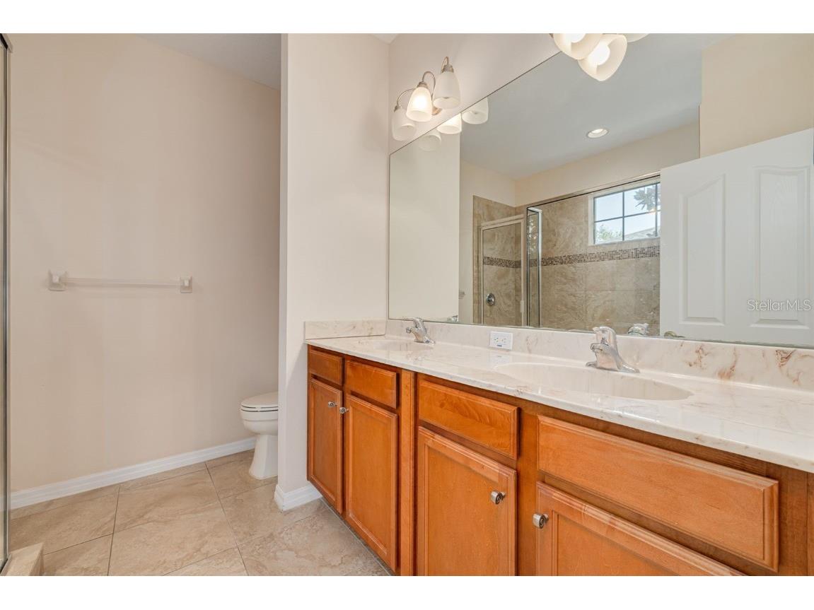 1134 S Pointe Alexis Drive Tarpon Springs FL 34689 T3546653 image25