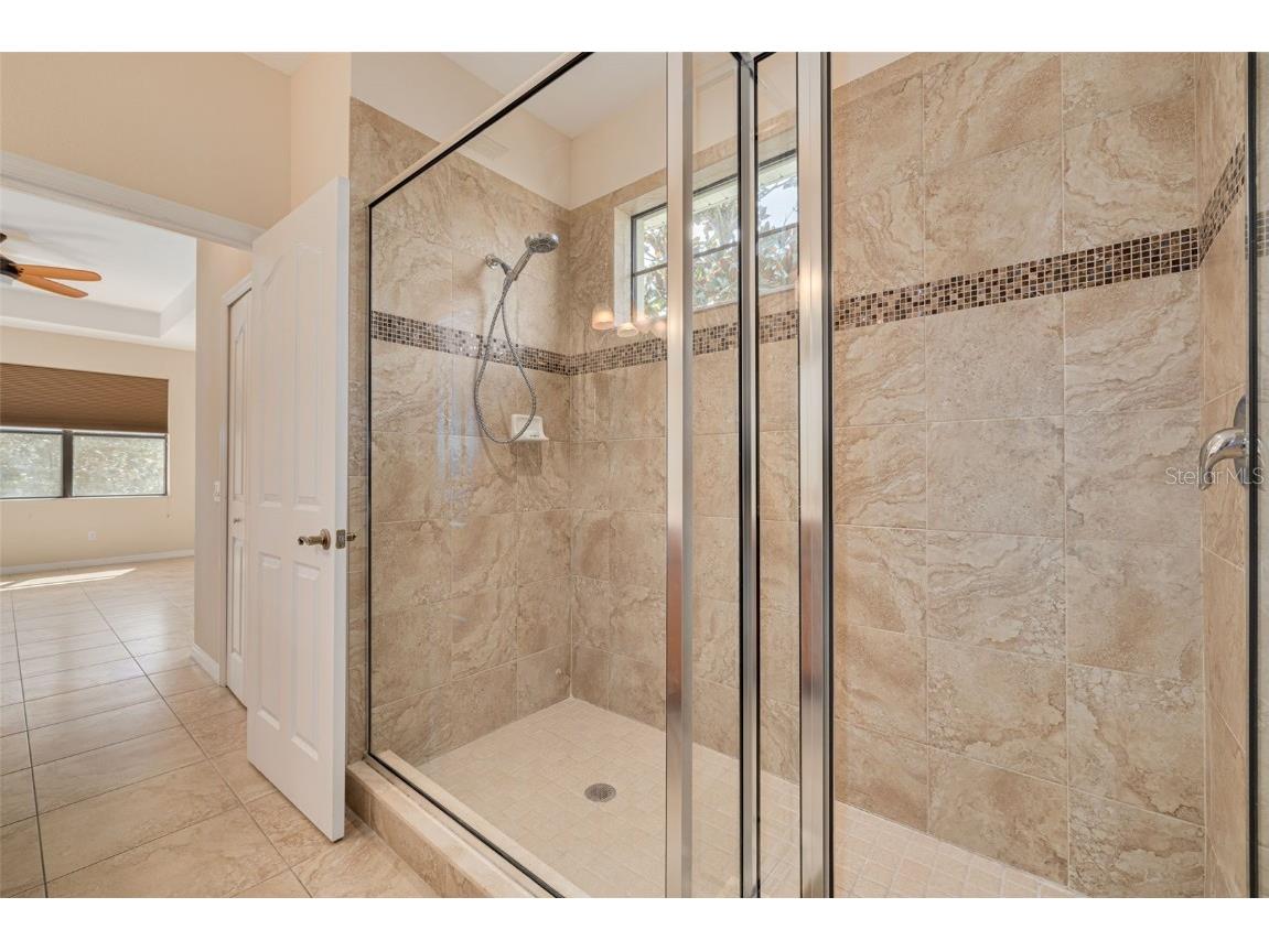 1134 S Pointe Alexis Drive Tarpon Springs FL 34689 T3546653 image26