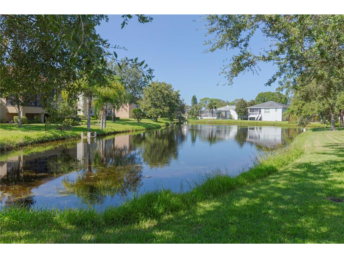 1134 S Pointe Alexis Drive Tarpon Springs FL 34689 T3546653 image43