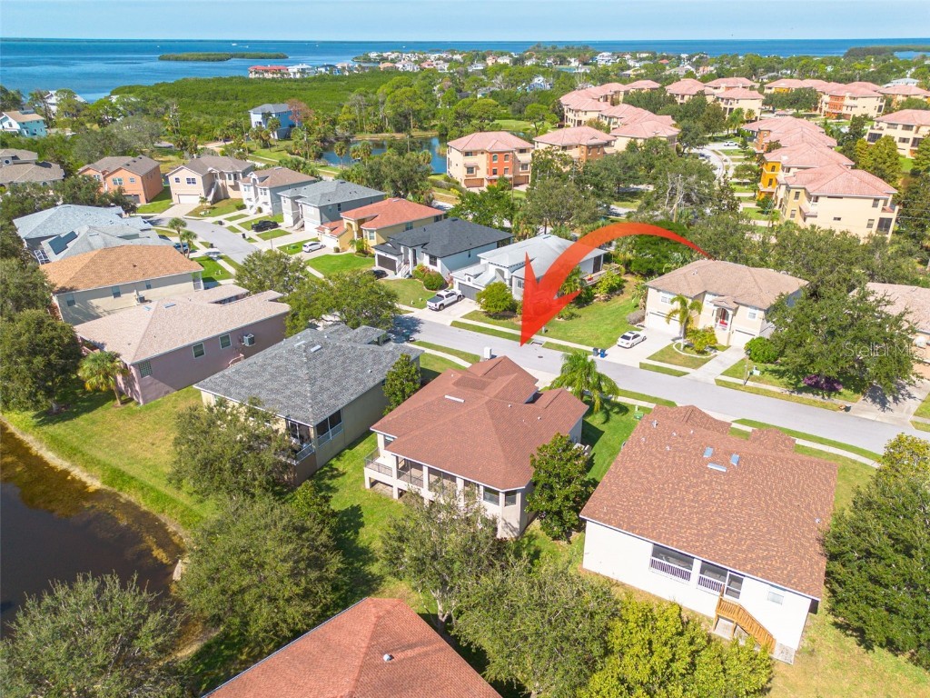 1134 S Pointe Alexis Drive Tarpon Springs FL 34689 T3546653 image44