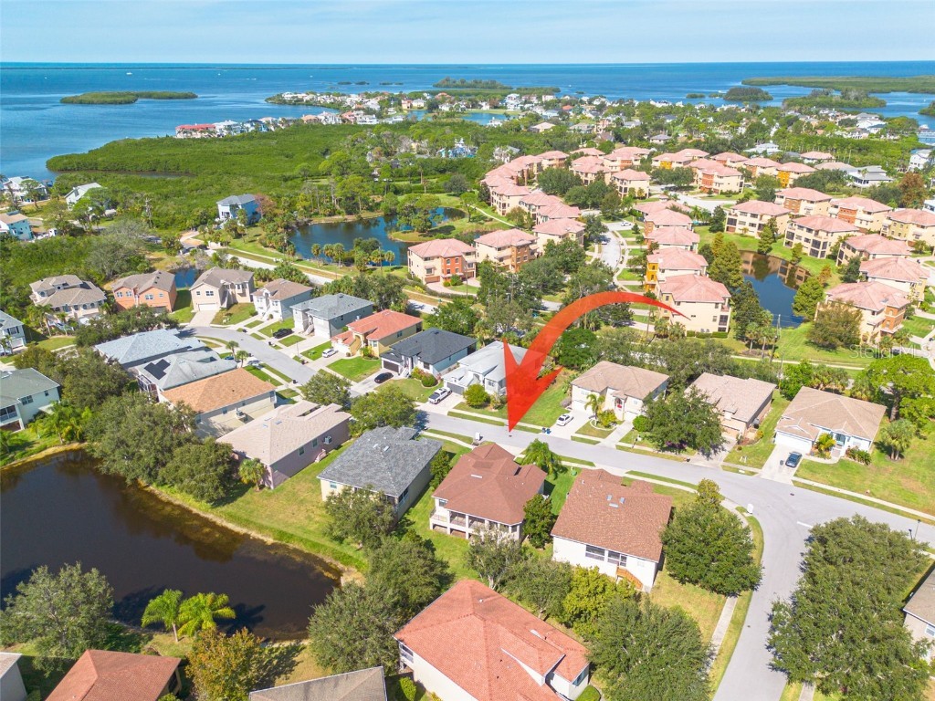 1134 S Pointe Alexis Drive Tarpon Springs FL 34689 T3546653 image48