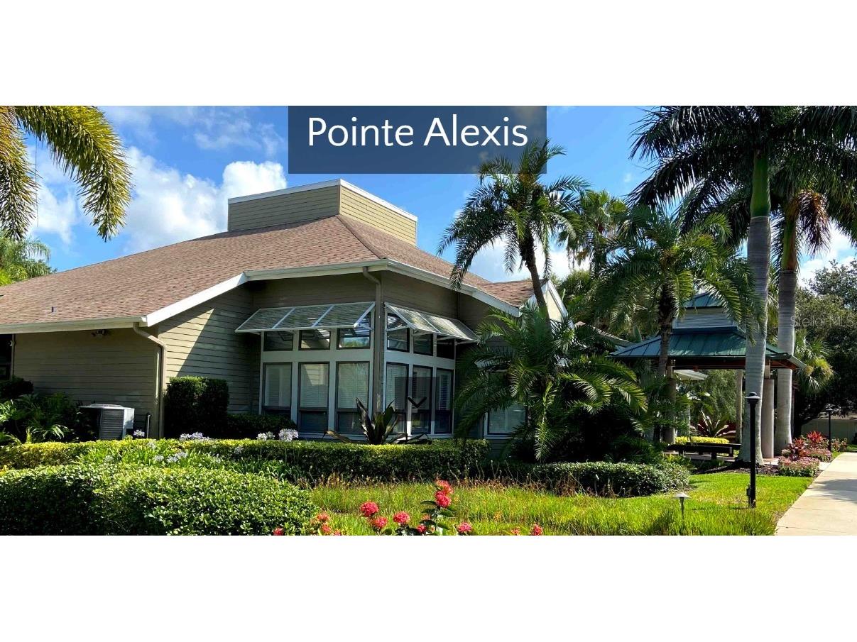 1134 S Pointe Alexis Drive Tarpon Springs FL 34689 T3546653 image49