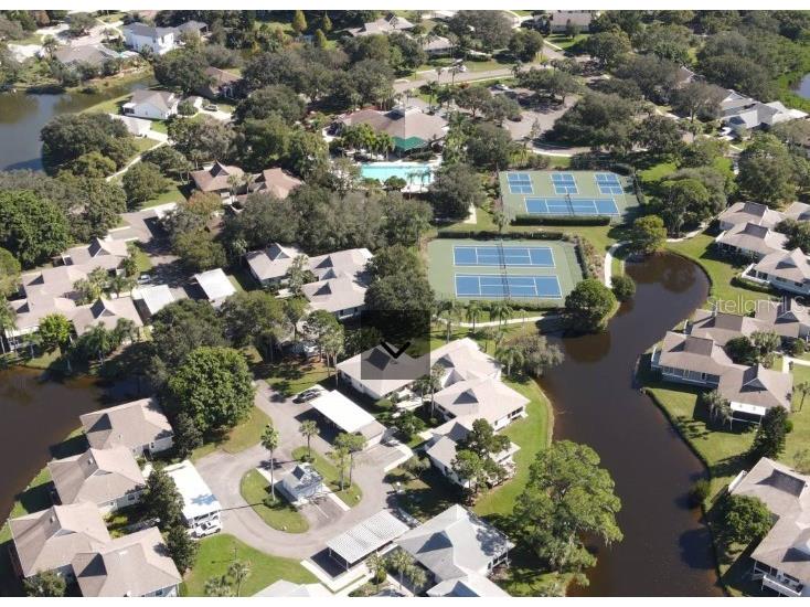 1134 S Pointe Alexis Drive Tarpon Springs FL 34689 T3546653 image50