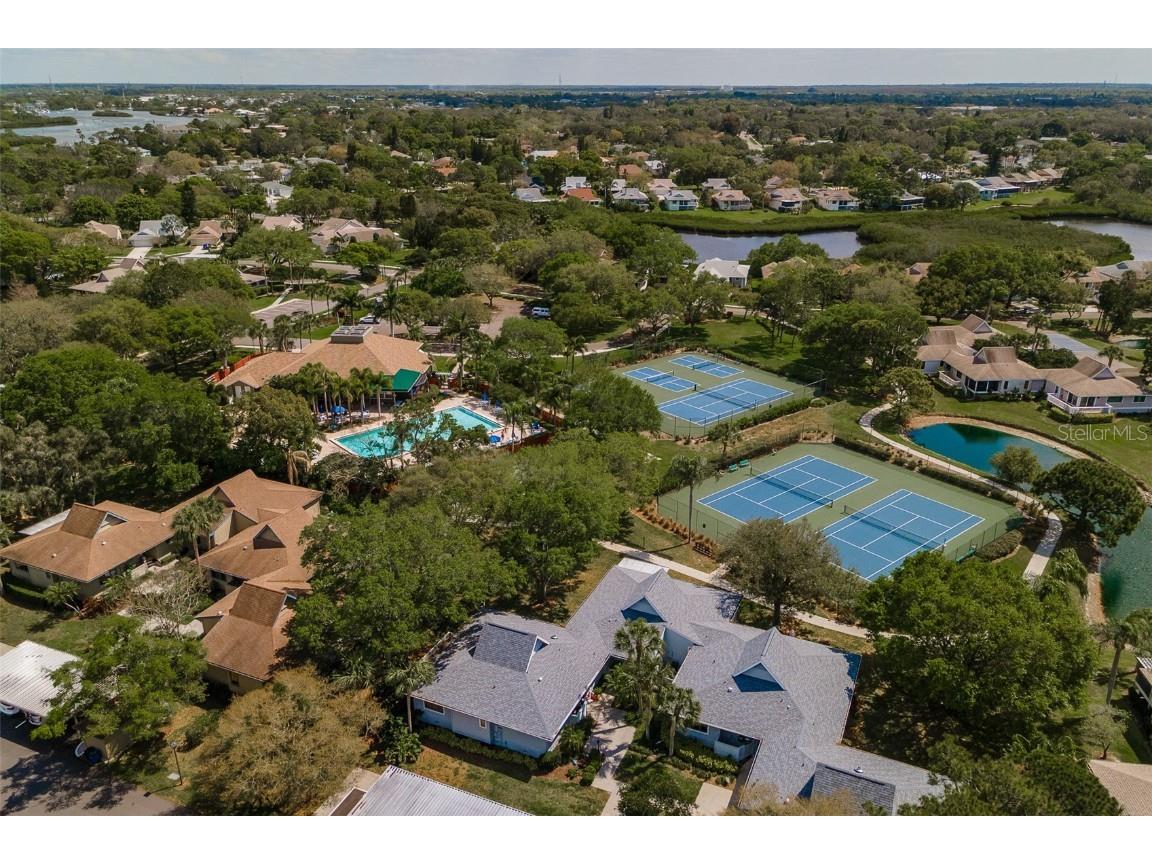 1134 S Pointe Alexis Drive Tarpon Springs FL 34689 T3546653 image51