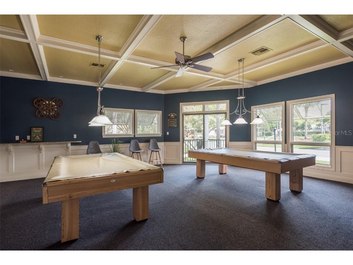 1134 S Pointe Alexis Drive Tarpon Springs FL 34689 T3546653 image52