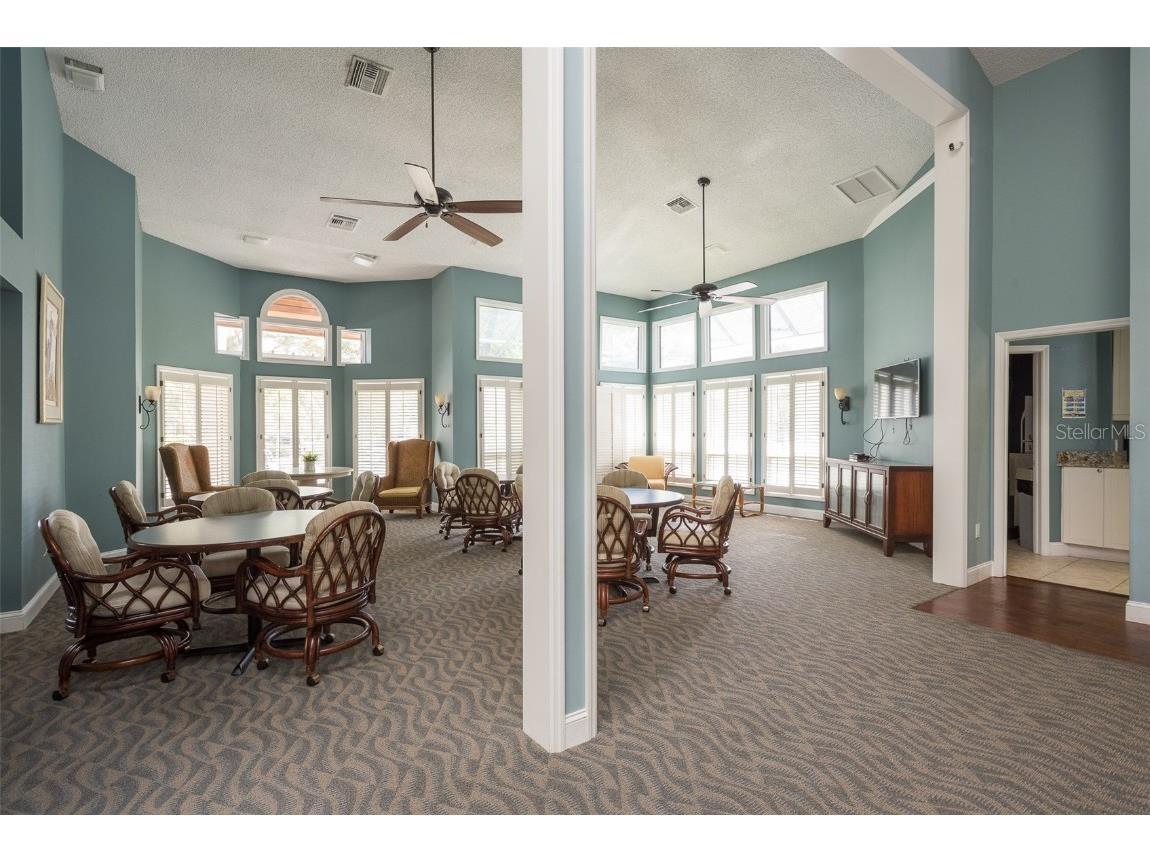 1134 S Pointe Alexis Drive Tarpon Springs FL 34689 T3546653 image54