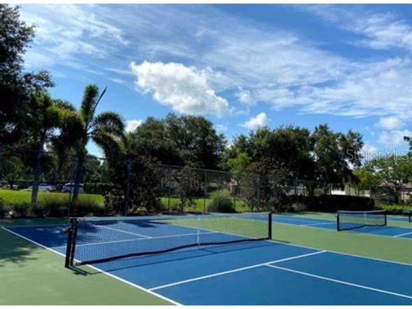 1134 S Pointe Alexis Drive Tarpon Springs FL 34689 T3546653 image56