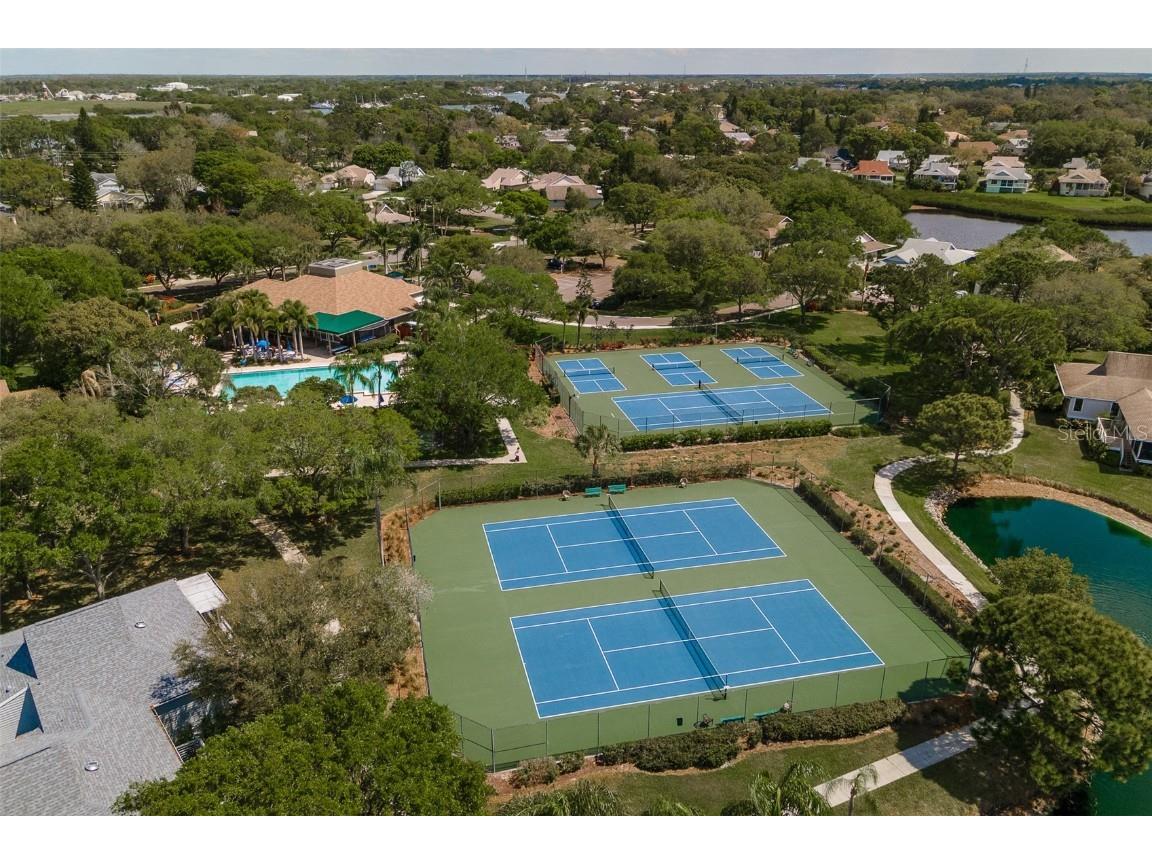 1134 S Pointe Alexis Drive Tarpon Springs FL 34689 T3546653 image57