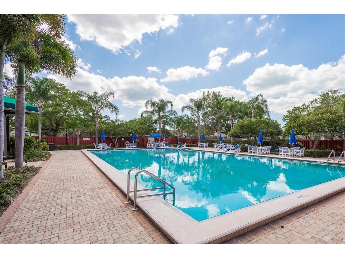 1134 S Pointe Alexis Drive Tarpon Springs FL 34689 T3546653 image58