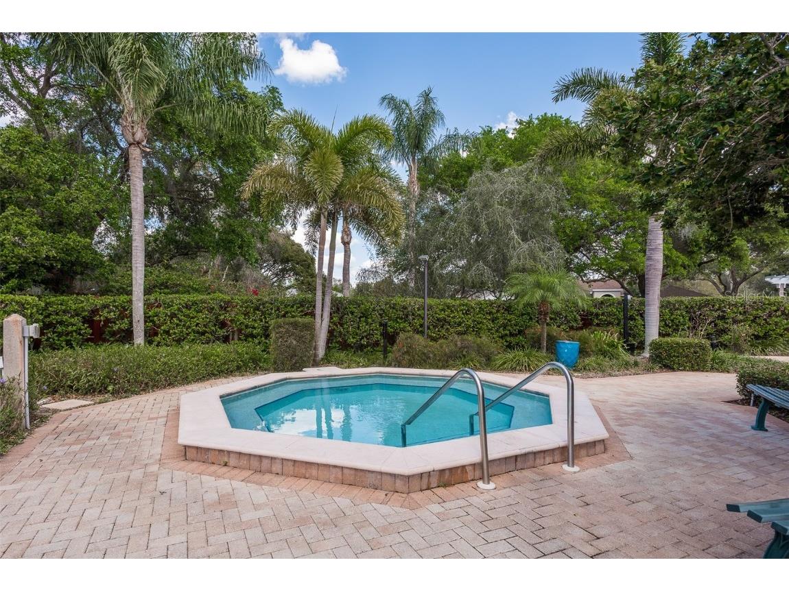 1134 S Pointe Alexis Drive Tarpon Springs FL 34689 T3546653 image59