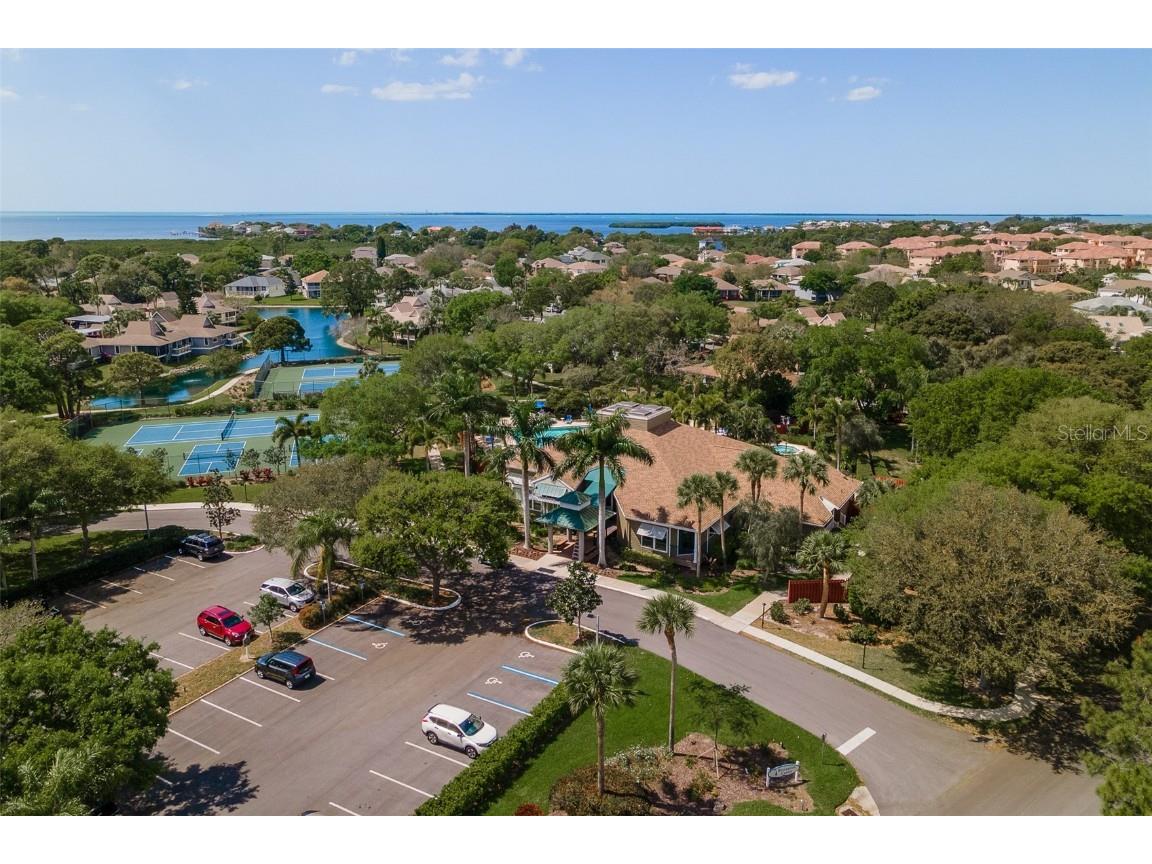 1134 S Pointe Alexis Drive Tarpon Springs FL 34689 T3546653 image60