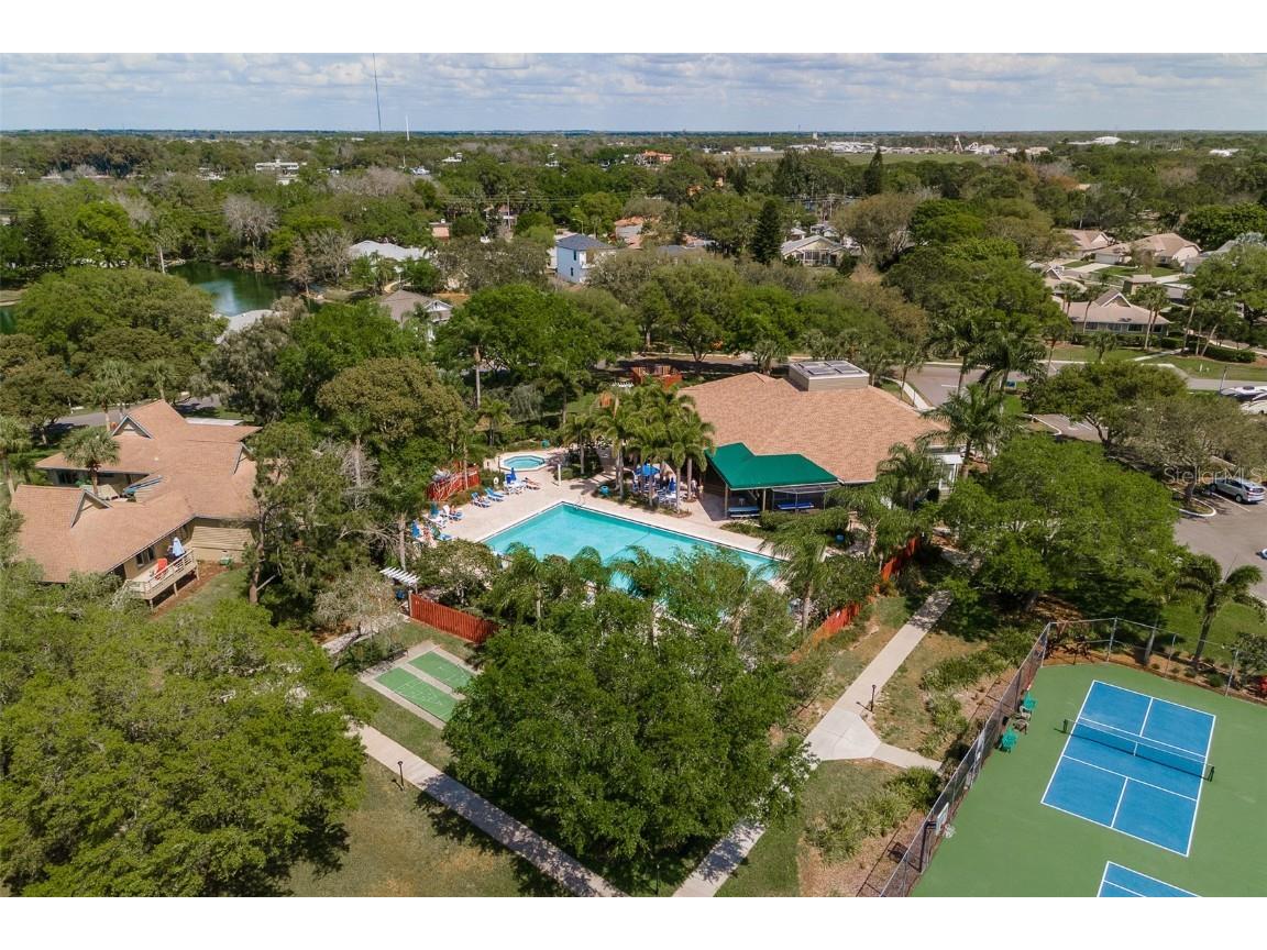 1134 S Pointe Alexis Drive Tarpon Springs FL 34689 T3546653 image61