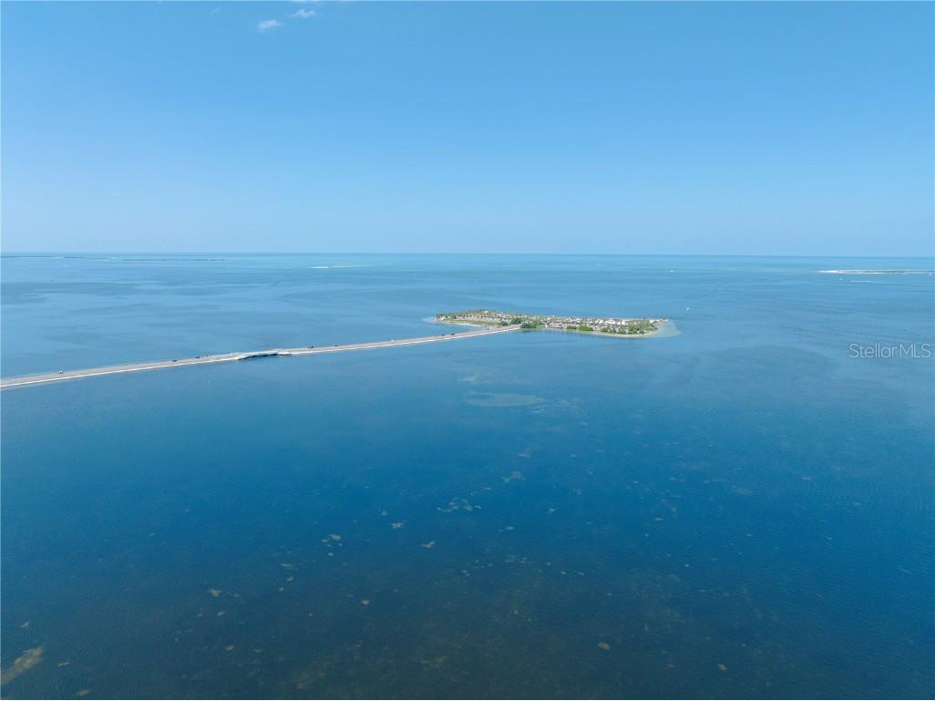 1134 S Pointe Alexis Drive Tarpon Springs FL 34689 T3546653 image64