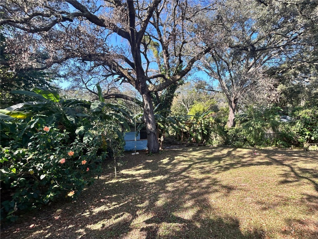 1134 Suncrest Drive Apopka FL 32703 TB8454711 image11