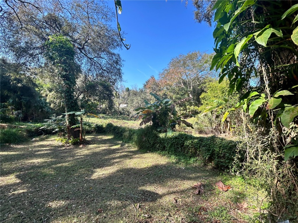 1134 Suncrest Drive Apopka FL 32703 TB8454711 image12