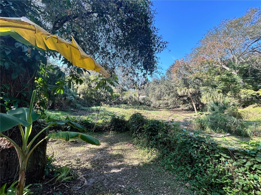 1134 Suncrest Drive Apopka FL 32703 TB8454711 image13