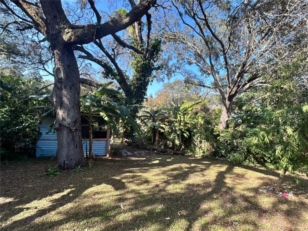 1134 Suncrest Drive Apopka FL 32703 TB8454711 image44