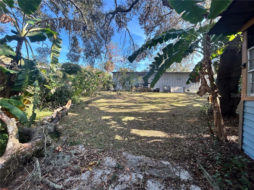 1134 Suncrest Drive Apopka FL 32703 TB8454711 image45