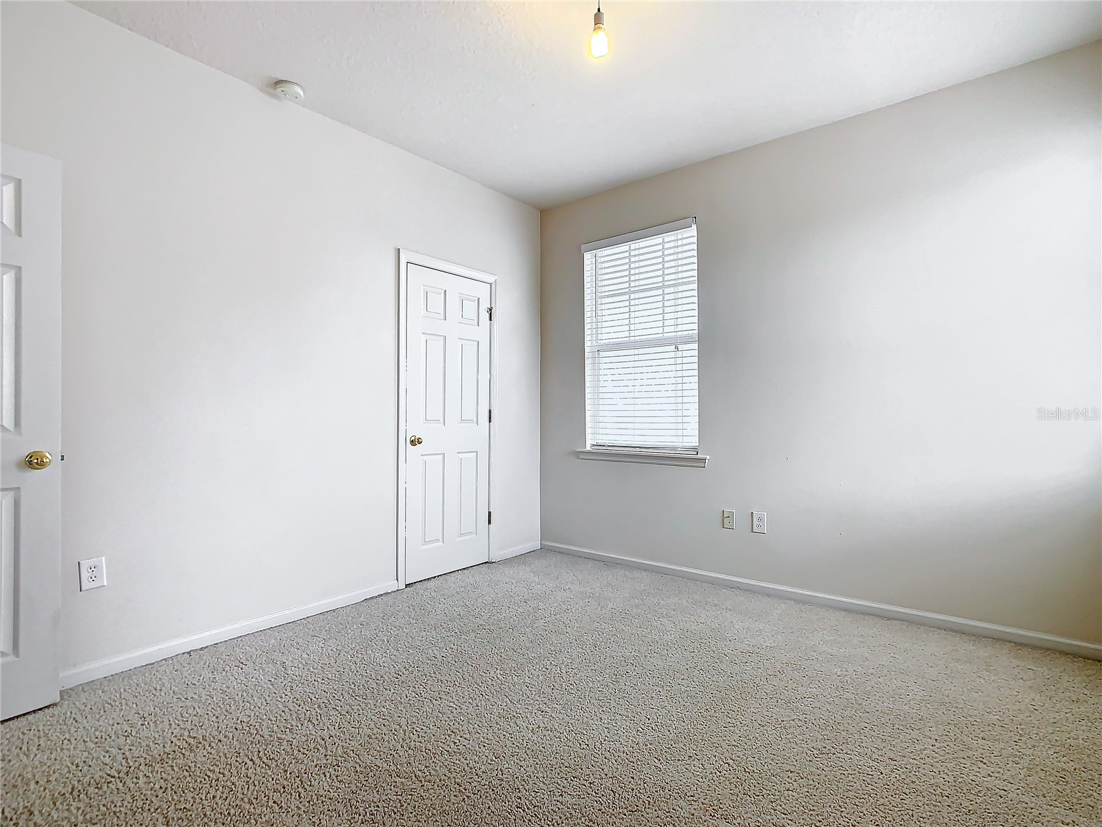 1134 Tapestry Drive Celebration FL 34747 S5097229 image44