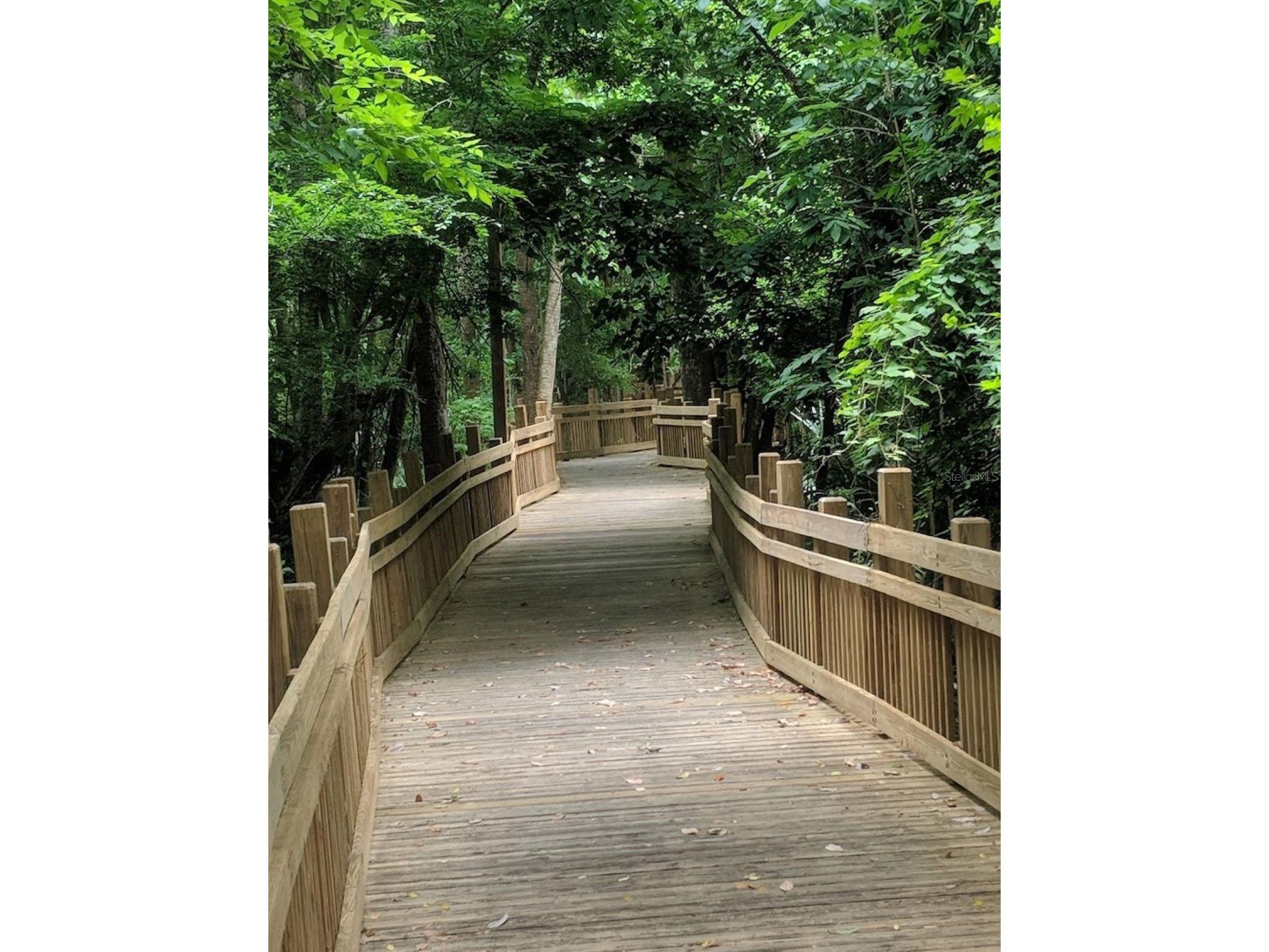 1134 Tapestry Drive Celebration FL 34747 S5097229 image61